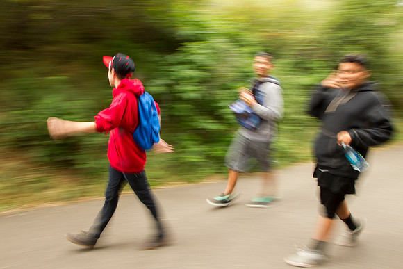 Walk to the Ranch