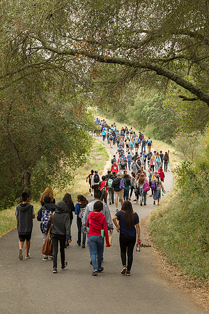 Road to the Ranch House