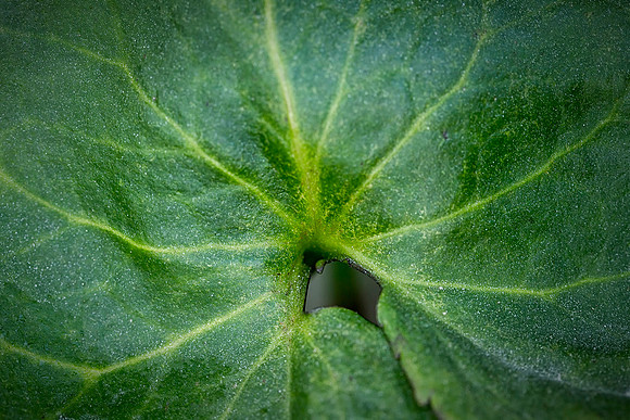 _30D1648