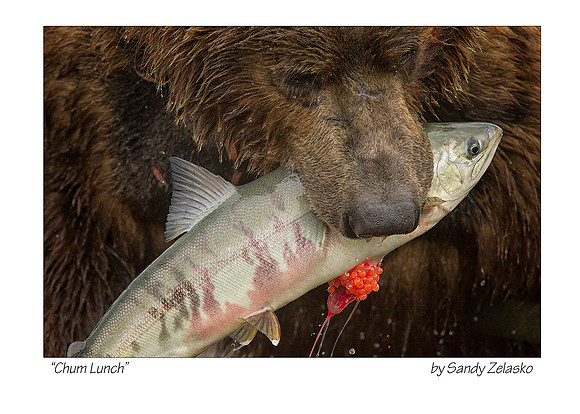 5X7 CHUM LUNCH