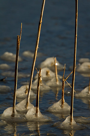 Ice Detail