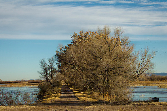 Road Less Traveled