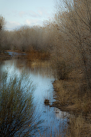 Ponds at Bosque