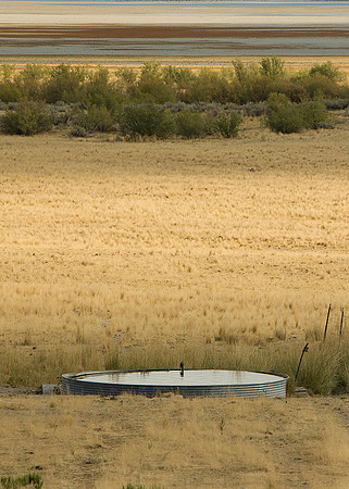Water Hole