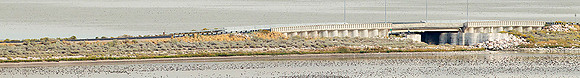 The Causeway