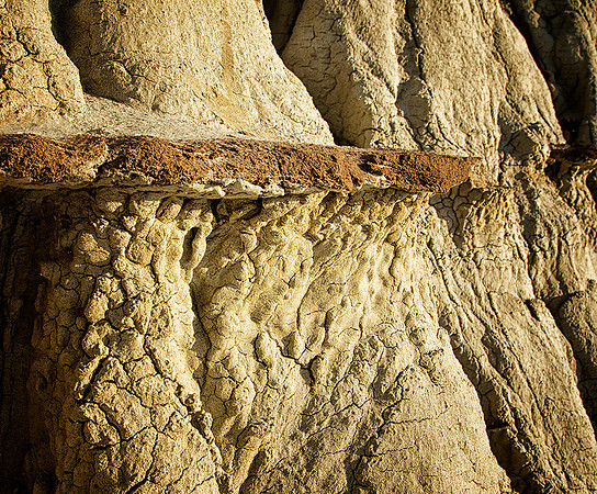 Ancient Shelf