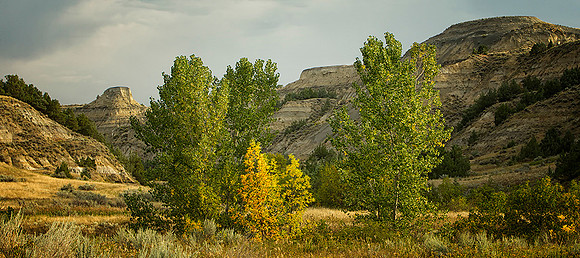 Coulee Colors