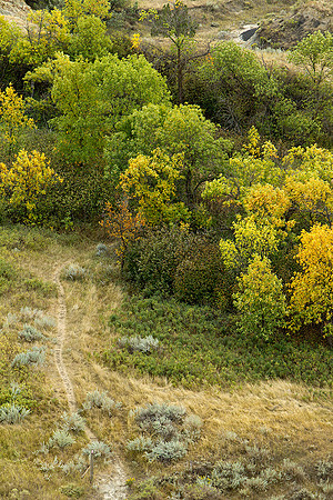 HIking Trail