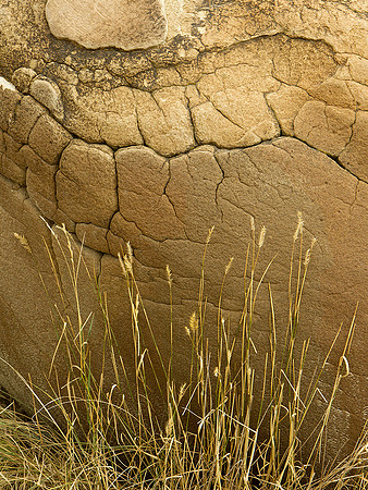 Concretion Closeup