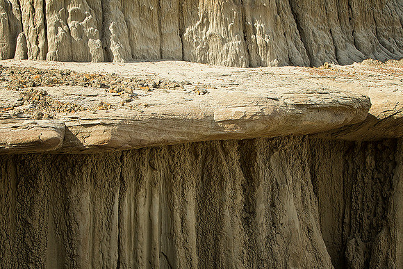 Lines in Nature