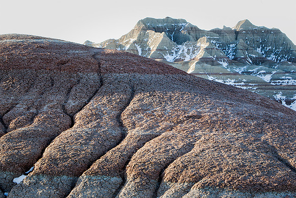 Winter Dusting